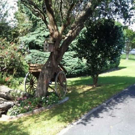 Dargaville Motel Екстер'єр фото